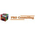 PRO Consulting s.r.o.