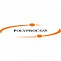 Polyprocess